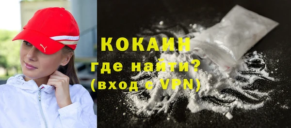 индика Белая Холуница