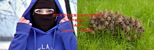 гашишное масло Белокуриха