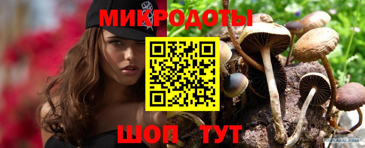 Псилоцибиновые грибы Magic Shrooms  Псилоцибиновые грибы ЛСД  Гусев  Вход с VPN 